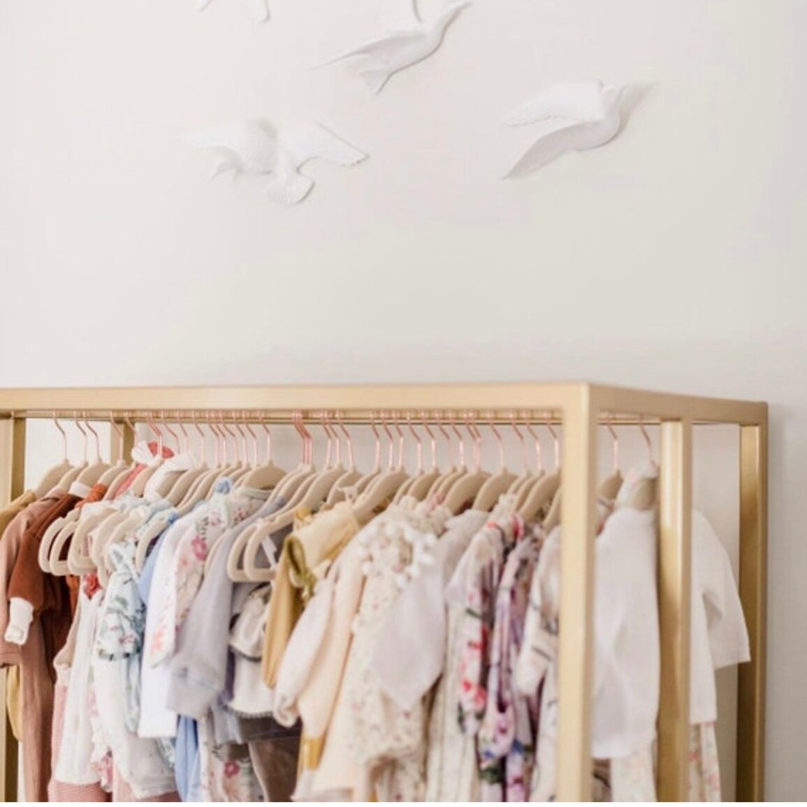 Children's Custom Closet Organizer